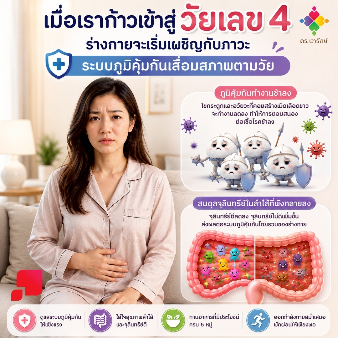 อินโฟกราฟิกภูมิคุ้มกันเสื่อมตามวัยเมื่ออายุ 40 เซลล์ภูมิคุ้มกันทำงานช้าลง และสมดุลจุลินทรีย์ในลำไส้เปลี่ยนไป