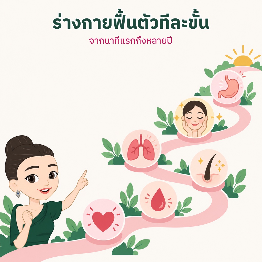 เส้นทางไทม์ไลน์หลังเลิกบุหรี่ มีสถานีหัวใจ เลือด ปอด เส้นผม ผิว และลำไส้