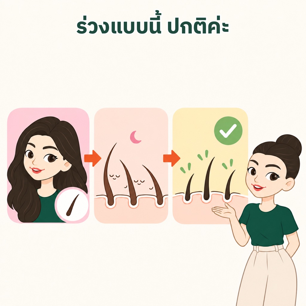 ทำไมผมร่วงวันละ 50 ถึง 100 เส้นเป็นเรื่องปกติ หนังศีรษะมีผมราว 1 แสนเส้น ราว 10% อยู่ในระยะพัก และมีผมใหม่งอกขึ้นมาแทน